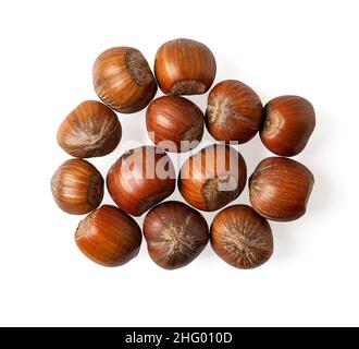 Heap of unpeeled hazelnuts isolated on a white background. Whole unshelled filberts cutout. Raw tasty fruits of Hazel Corylus tree. Macro. Stock Photo
