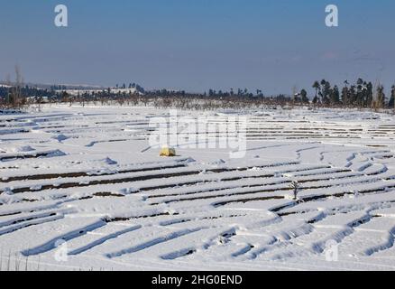 Srinagar, India. 11th Jan, 2022. General view of a snow-covered village after heavy snowfall at a Village of Budgam district of Indian-Kashmir. Kashmir is presently under the grip of 40-day long harshest period of winter, known locally as ‘Chillai Kalan, which started from December 21. It is followed by a 20-day long ‘Chillai Khurd' and a 10-day-long ‘Chilla Bachha'. (Photo by Sajad Hameed/Pacific Press) Credit: Pacific Press Media Production Corp./Alamy Live News Stock Photo