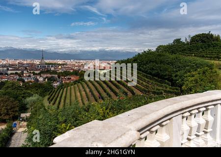 Marco Alpozzi/LaPresse September 20, 2021 Torino (To), Italy News Harvest in Balbiano's vineyard at Villa della Regina, on the Turin hill In the pic: vineyard pano Stock Photo