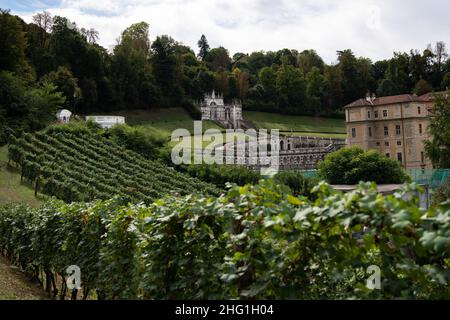 Marco Alpozzi/LaPresse September 20, 2021 Torino (To), Italy News Harvest in Balbiano's vineyard at Villa della Regina, on the Turin hill In the pic: vineyard pano Stock Photo