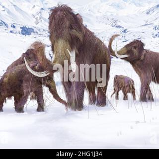 An illustration of a family of Woolly Mammoths grazing on what is left of the grasses as winter approaches in this ice age scene. Stock Photo
