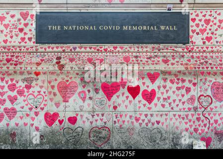 The National Covid Memorial Wall covered in pink hearts and the names of victims on the south bank of the Thames next to St Thomas Hospital in London Stock Photo