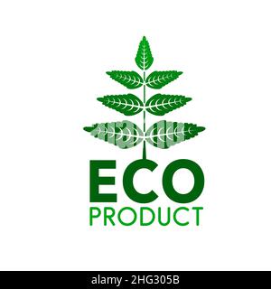 Eco product vector icon with green leaves of organic bio plant, nature, ecology and healthy environment. Fresh spring foliage of tree or plant branch Stock Vector