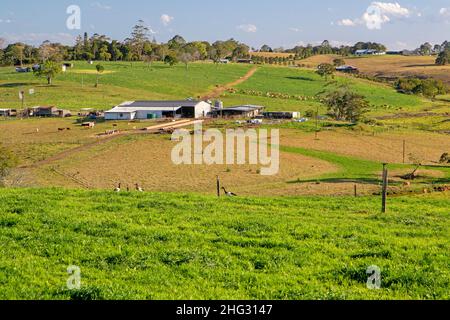 Dairy farm at Maleny Stock Photo