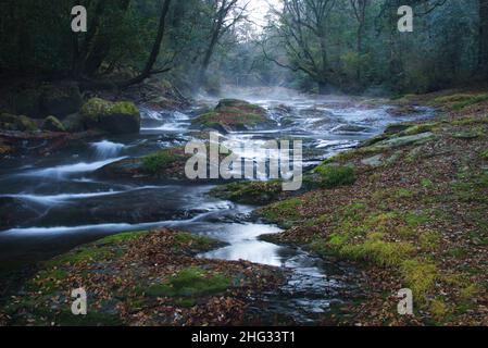 Kikuchi Gorge, early morning, Kumamoto Prefecture, Japan Stock Photo - Alamy