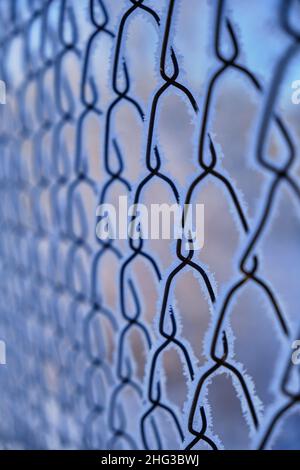 Background, the netting is covered with frost and snow on a frosty winter day Stock Photo