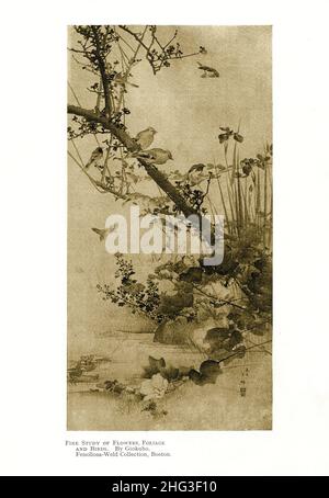 19th century Japanese painting: Fine Study of Flowers, Foliage and Birds. By Giokuho. Reproduction of book illustration of 1912 Stock Photo