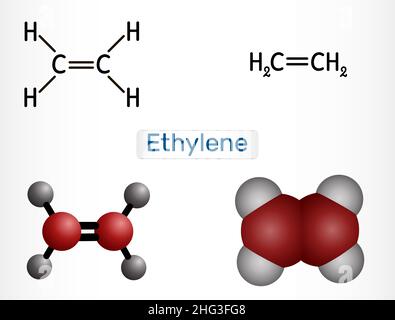 Ethylene, ethane, C2H4 molecule. It is organic compound, hydrocarbon, alkene. Structural chemical formula and molecule model. Vector illustration Stock Vector
