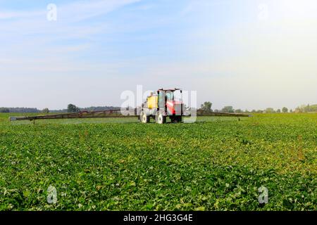 Tractor spraying plant protection products on a green sugar beet field. Stock Photo