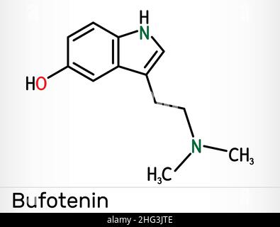 Bufotenin, 5-HO-DMT, bufotenine molecule. It is alkaloid, tryptamine derivative, hallucinogenic serotonin analog, found in toad skins, mushrooms. Skel Stock Vector