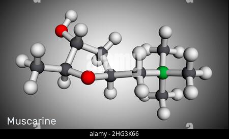 Muscarine or muscarin molecule. It is toxic alkaloid found in Amanita muscaria, fly fungus. Molecular model. 3D rendering. Illustration Stock Photo