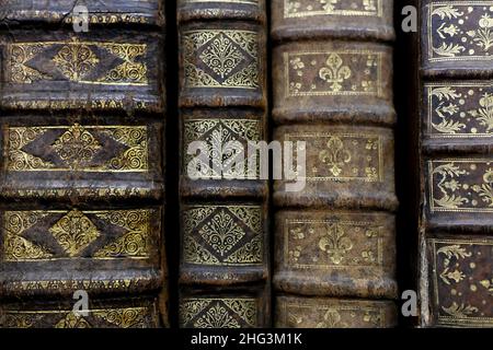 Old worn books on a shelf in the library's shelfs Stock Photo