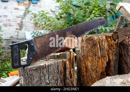 Saw for cutting wood. Preparation of firewood for the winter Stock Photo
