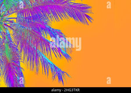 neon purple colored palm tree on orange background Stock Photo