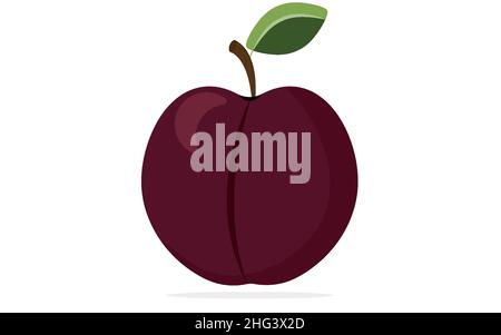 Plum on a white background is insulated.Whole healthy fruit Stock Vector