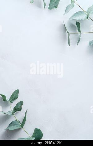 Frame made of green Eucalyptus leaves on stone background. Floral composition. Wedding invitation template or greeting car mockup. Stock Photo