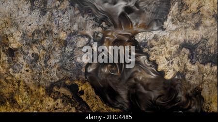 Top view casting epoxy resin burl wood background texture Stock Photo
