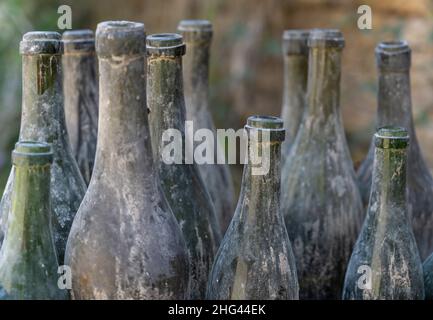 Old dirty green bottles in France. Stock Photo