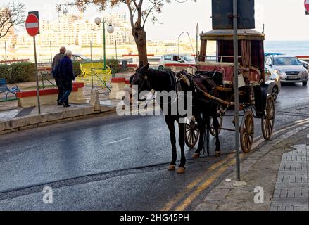 Horse and carriage waiting in the shade to transport tourists around Vallett, the capital of Malta - 2nd of February, 2016 Stock Photo