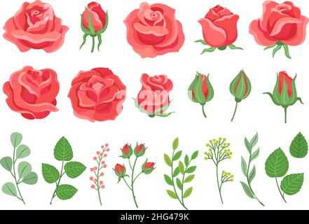 Red roses cartoon. Burgundy rose and green leaves. Blooming plants, garden branches for bouquet. Isolated wedding or birthday cards neoteric vector Stock Vector