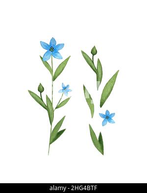 Flax Linum blue flax flower watercolor. Set of individual elements. Isolated, white background. Watercolor vector illustration. Vector illustration Stock Vector