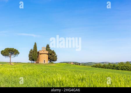 View of a cornfield with an old chapel in the rural landscape Stock Photo