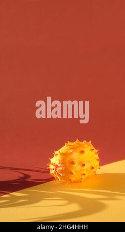 Dragon fruit, pitahaya, close-up on whole spiky cactus fruit. Vibrant red and golden yellow colored paper background. Sunlight, long shadows. Closeup Stock Photo
