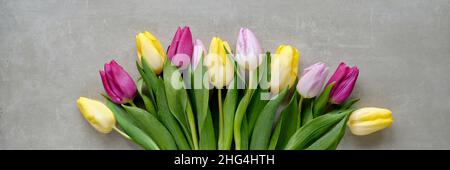 Panoramic banner with fresh spring tulips in various colors. Yellow, magenta and pink tulips. Minimal simple arrangement. Flat lay on grey stone Stock Photo