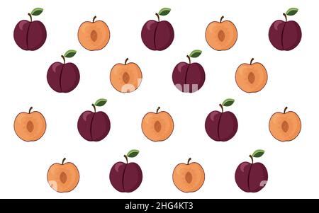 Vector illustration of plum whole and slice isolated on white background Stock Vector