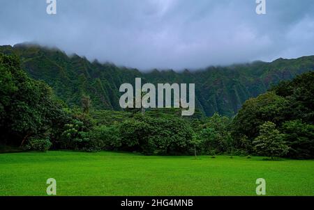 Green lawn in front of Koo'lau Range on Oahu Island of Hawaii Stock Photo