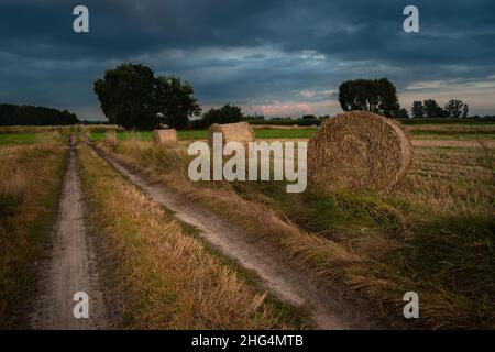 Country road next to a field with hay bales, evening view Stock Photo