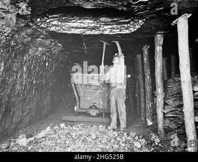 Coal miner using a pick next to a coal wagon in an American coal mine circa 1910 showing the dirty and cramped conditions they worked in Stock Photo