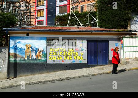 Mural on exterior of building in Tembladerani district encouraging people to adopt stray animals as pets rather than buy new ones. Like many cities in Latin America, La Paz and neighbouring El Alto have large population of street dogs, many of which are abandoned pets and can be a health and safety hazard. La Paz, Bolivia Stock Photo