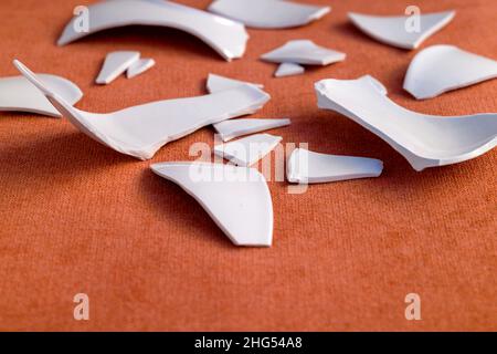 Splinters and Fragments of the broken white ware. Broken Plate, glass.  Pieces of shattered dishes. close-up, side view Stock Photo