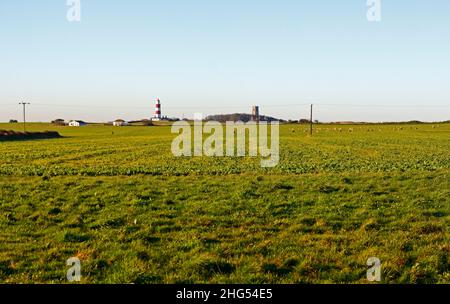 A view of arable and pastoral mixed farming in winter on the North Norfolk coast at Cart Gap, Happisburgh, Norfolk, England, United Kingdom. Stock Photo