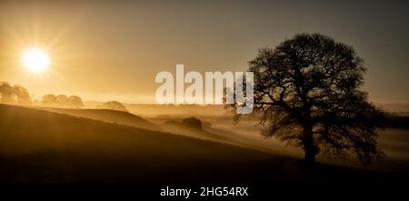 Sunrise near the village of Spofforth in North Yorkshire, England, United Kingdom Stock Photo