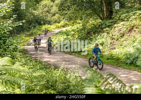 family bike trail forest of dean