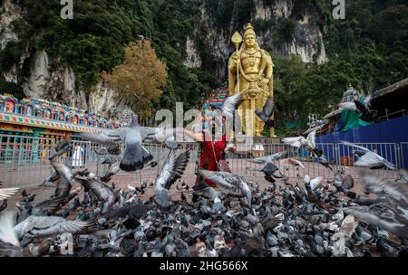 Kuala Lumpur, Malaysia. 18th Jan, 2022. A Hindu devotee feeds pigeons after fulfilling her vows during the Thaipusam festival at the Batu Caves Temple.Thaipusam is an annual Hindu festival celebrated mostly by the Tamil community in honor of the Hindu god Lord Murugan. Devotees will blessings and make vows when their prayers are answered. Credit: SOPA Images Limited/Alamy Live News Stock Photo