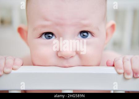 Baby gnaws at the edge crib during teething itching. Funny child scratching his teeth on the rail bed, age six months Stock Photo