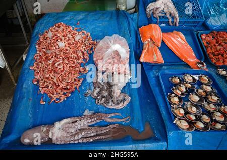 Freshly caught octopus, prawns, salmon fillets and scallops at local market in Valparaiso, Chile. Fresh seafood from Pacific Ocean on market counter Stock Photo