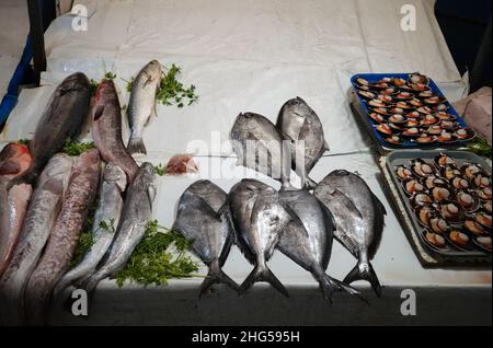 Fresh fish at fish market in Valparaiso, Chile. Fresh ocean fish such as dorado and scallops on white background. Fresh seafood counter at local marke Stock Photo