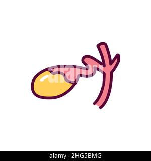 Human organ gall bladder color line icon. Isolated vector element. Outline pictogram for web page, mobile app, promo Stock Vector