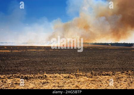 A burning agricultural field in hot summer weather. Dry wind blows the flames of fire across the fields of farmers Stock Photo
