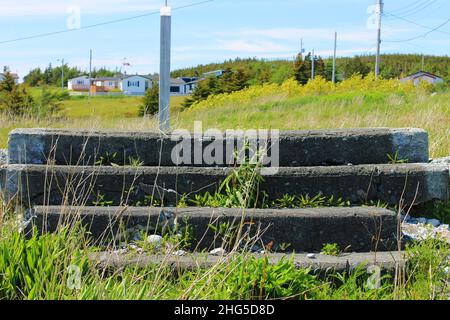 A set of old, concrete stairs in isolation, the house long since torn down leaving an empty, grass covered lot. Stock Photo
