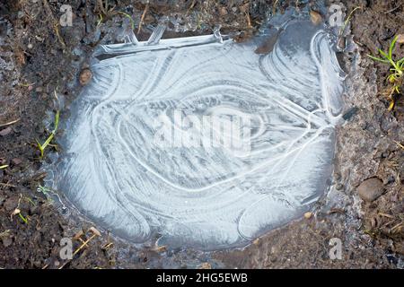 Close up of a small frozen puddle in a muddy hollow in a field, the ice forming an intricate circular pattern. Stock Photo