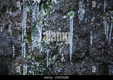 Close up macro shot of natural river icicles on stone rocks. Green moss covering the rocks. Flowing frozen river. High quality photo Stock Photo