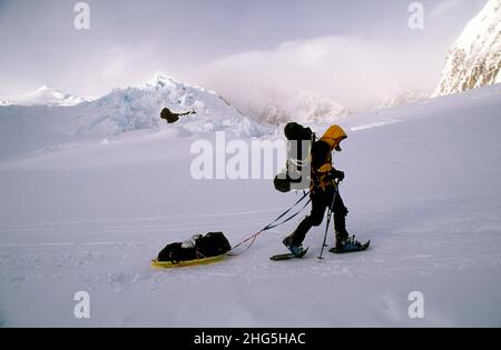 Single male mountain climber travels on the Kahiltna glacier. Denali National Park, Alaska Stock Photo