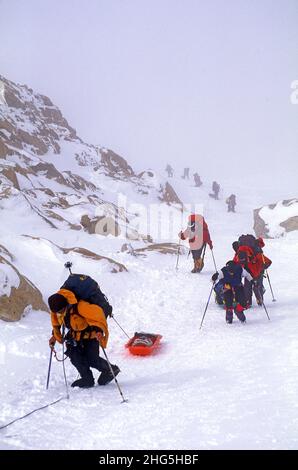 A long train of mountain climbers struggle up the West Buttress on Denali. Denali National Park, Alaska Stock Photo