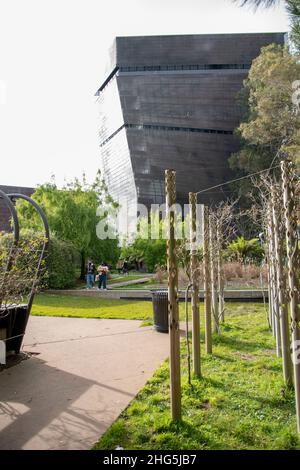 The DeYoung Museum is a prominent part of Golden Gate Park in San Francisco, CA, USA which holds art exhibits. Stock Photo