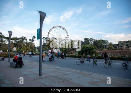 The DeYoung Museum is a prominent part of Golden Gate Park in San Francisco, CA, USA which holds art exhibits. Stock Photo